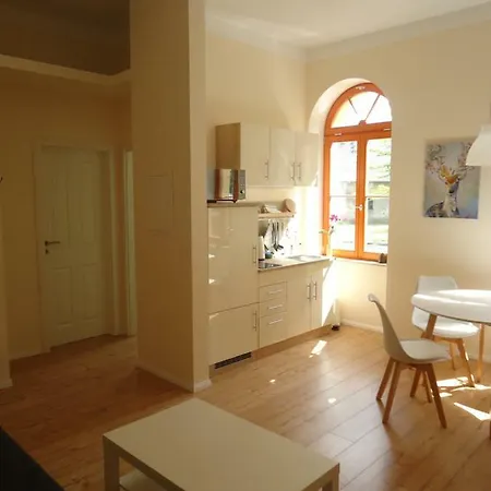 Gaensebluemchen In Buchholz Steinhofel