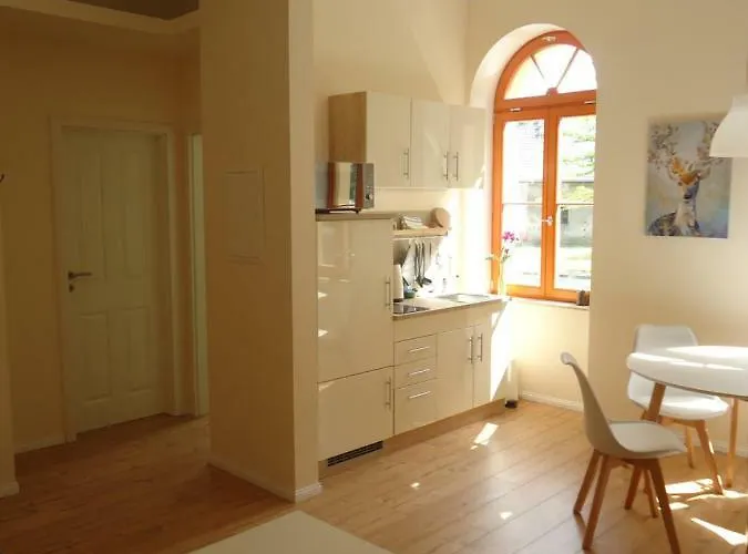 Gaensebluemchen In Buchholz Steinhofel